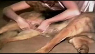 Homemade zoo porn a man persuaded a lady to fuck with a dog